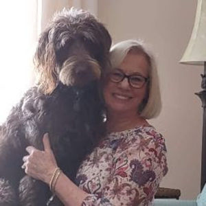 Meet your Posher, Sue